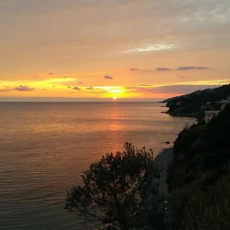Martina Mare
