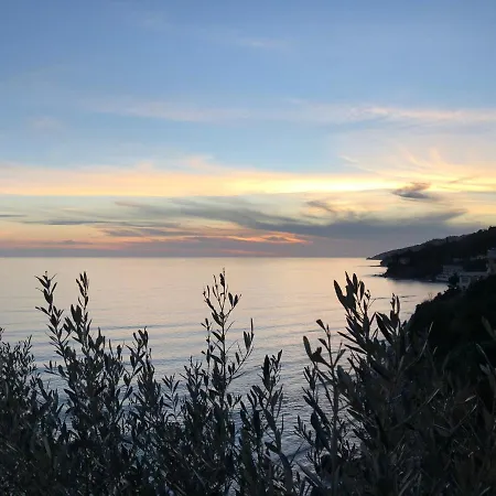 Martina Mare